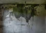 Zawilgocona ściana piwnicy z widocznymi zaciekami wilgoci, łuszczącą się farbą i ogniskami pleśni. Pomieszczenie ma ciemny, wilgotny klimat, który dobrze obrazuje problem nieszczelnej izolacji i złej wentylacji.