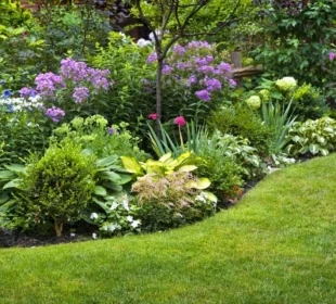 Poznaj rośliny idealne dla początkujących. Sprawdź, które rośliny sprawią, że Twój ogród szybko i łatwo rozkwitnie. Praktyczny poradnik dla startujących.